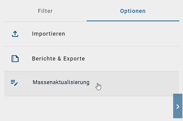 Der Screenshot zeigt die Option "Massenaktualisierung" in den Optionen der Diagrammansicht.