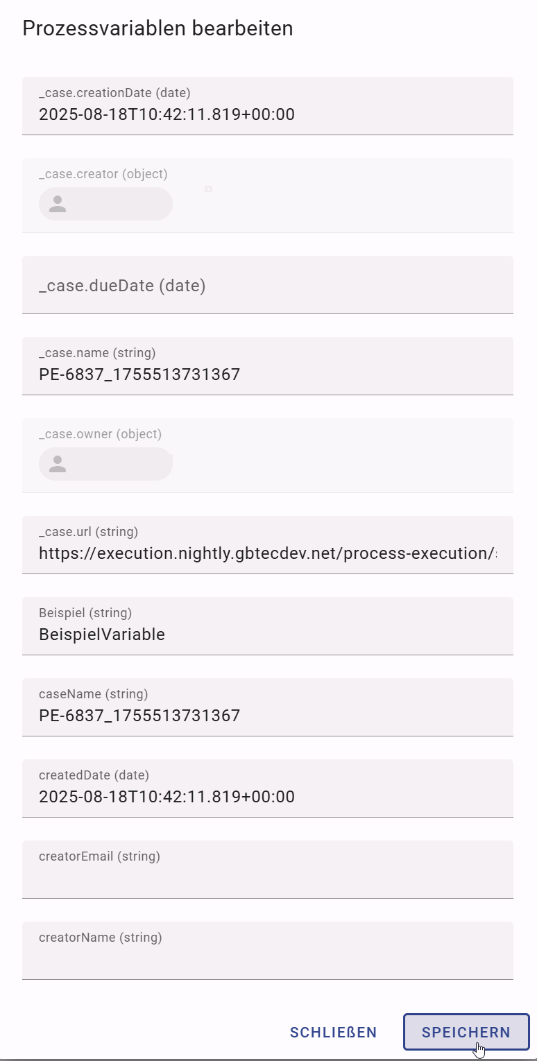 Der Screenshot zeigt das Dialogfenster, in dem die Prozessvariablen eines Vorgangs angezeigt werden.